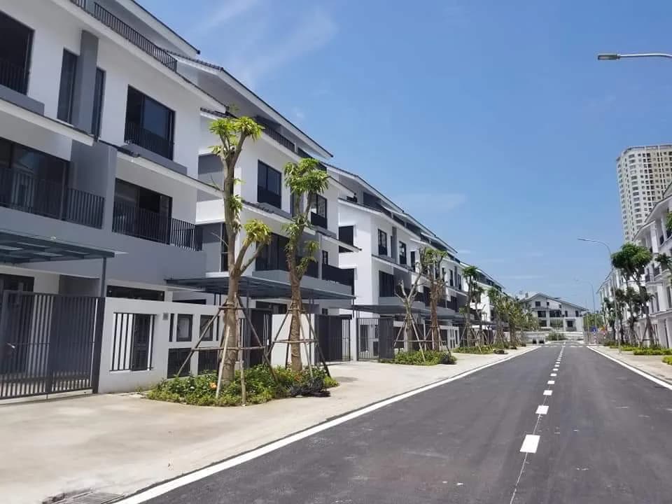 Biệt thự song lập Azalea Homes - Ảnh 6