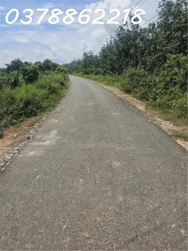 Bán gấp lô đất đường Lò Rèn, xã Long Hòa, Dầu Tiếng, 9200m2, giá 4,2tr/m2