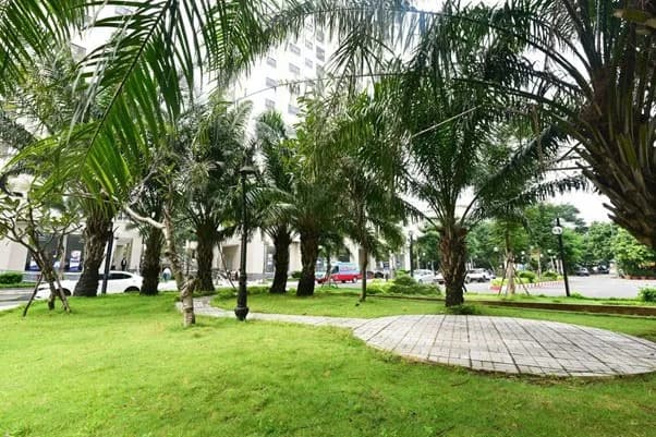 SGC Nguyễn Cửu Vân - Ảnh 9