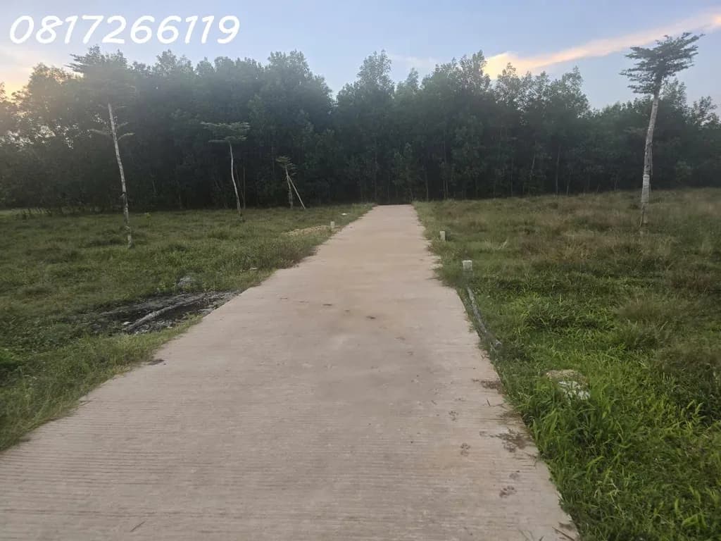 Cần bán nhanh lô đất đẹp xã Thọ Phong, Tỉnh Quảng Ngãi, 123,9m2, 1,080 tỉ