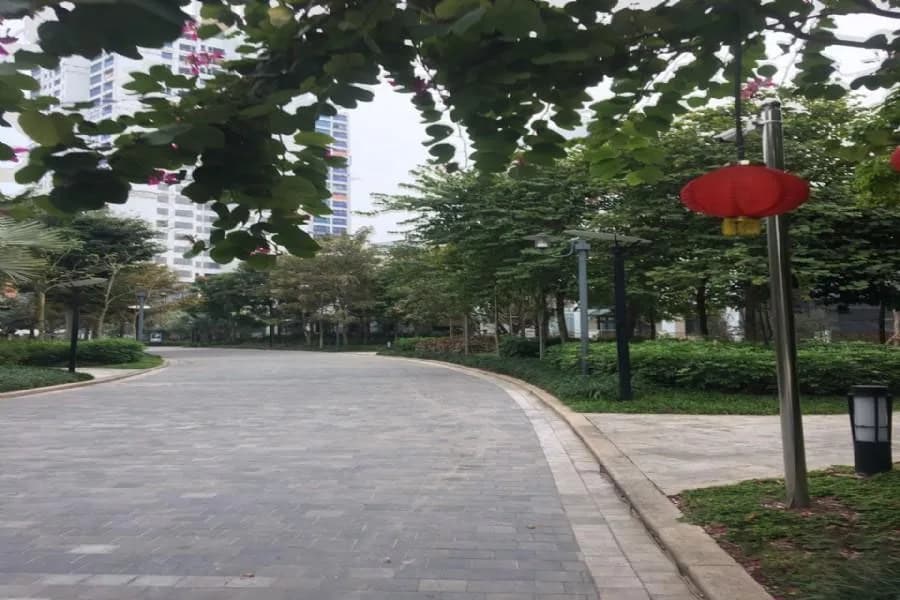 H11 Starlake - Ảnh 6