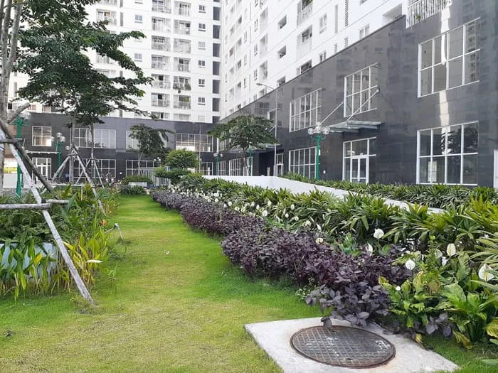 Tara Residence - Ảnh 11