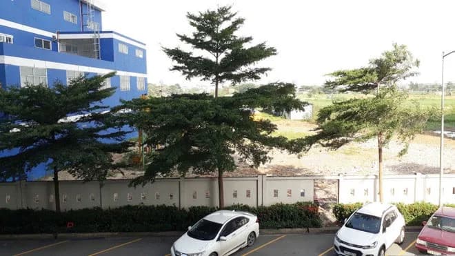 Chung cư 12 View - Ảnh 9