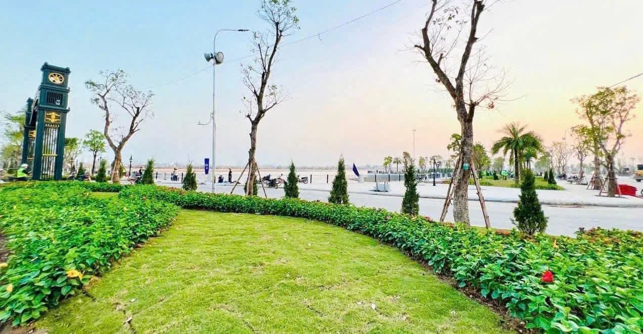 Imperia Cổ Loa - Ảnh 5
