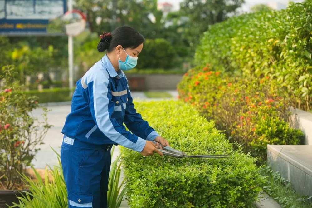 Tòa nhà CDA - Ảnh 7