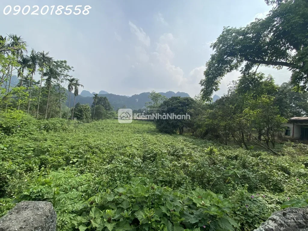 📍 Chỉ khoảng 1 giờ lái xe từ trung tâm Hà Nội, cách QL21 chỉ 1km, gần khu vực Vành đai 5. - ảnh 1