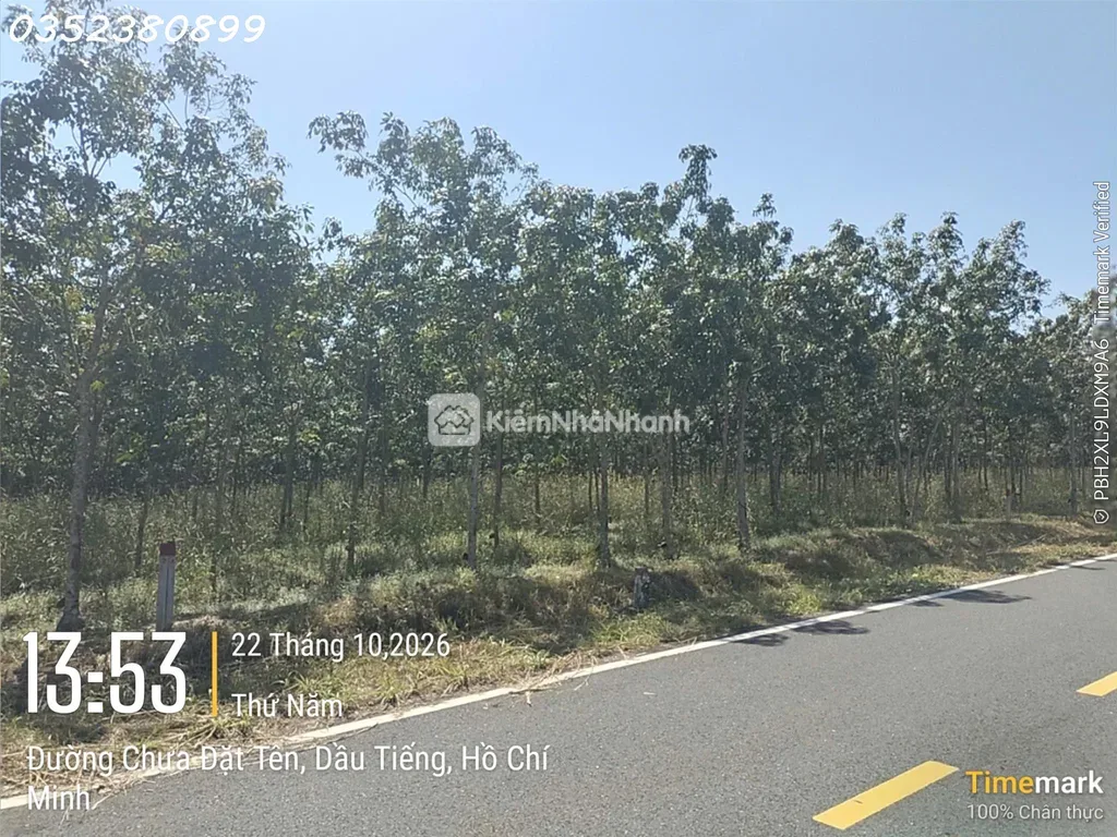 Hàng hiếm tại Ấp Núi Cậu, ĐT 744, Dầu Tiếng, DT 262 m2, giá 2,7 tỷ - ảnh 1