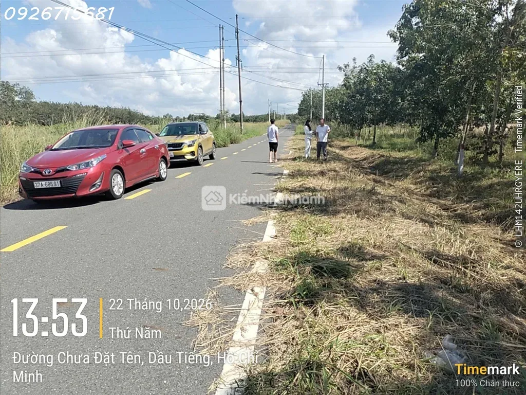 Bán đất đẹp tại Ấp Yên Ngựa, xã Định Thành, Dầu Tiếng, DT 284,4m2, nhiều tiện ích - ảnh 1