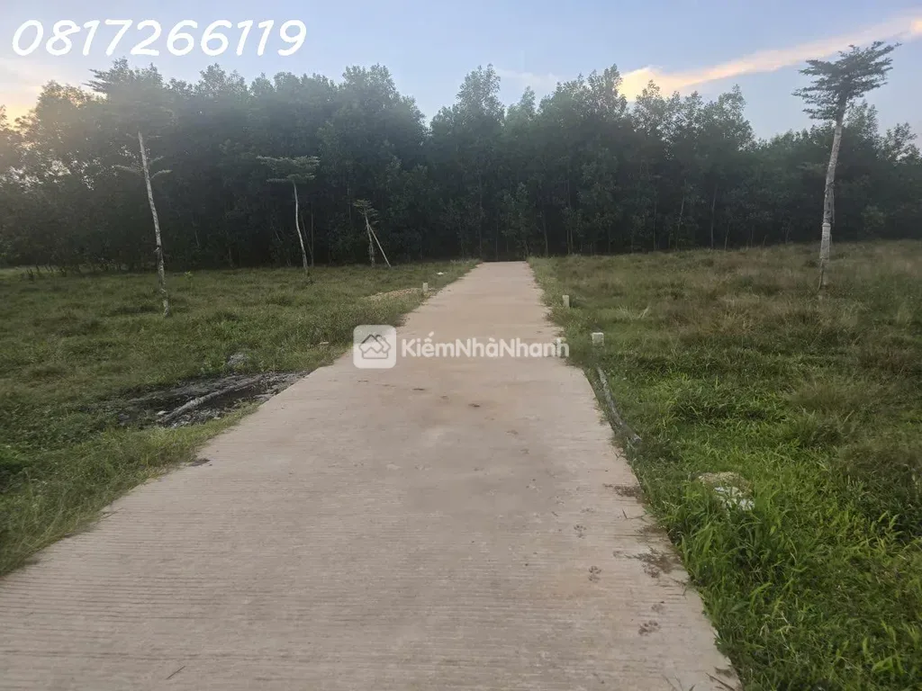 Cần bán nhanh lô đất đẹp xã Thọ Phong, Tỉnh Quảng Ngãi, 123,9m2, 1,080 tỉ - ảnh 1
