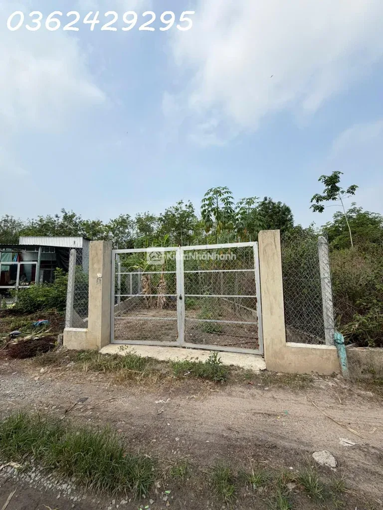 Bán đất 217.7m2 có thổ cư xã Thanh Tuyền, huyện Dầu Tiếng, Bình Dương chỉ với giá siêu hời 1,2 tỷ - ảnh 1