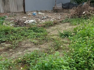 Rẻ và đẹp như này không mua thì mua ở đâu đất vạn 3 124m giá cho ae đầu tư khu vực đân cư than thiện tiện ích xung quanh đầy đủ oto vao dat 20m