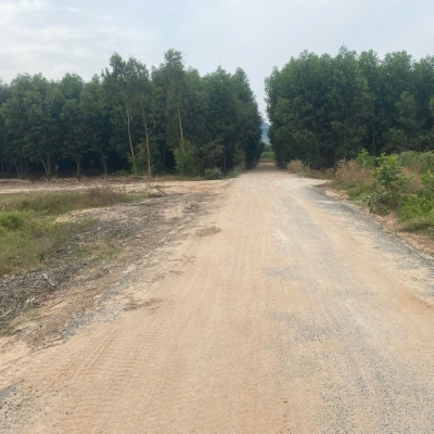 Bán 2 sào đất mặt tiền Lê Đức Thọ - Tân Bình - LaGi giá ngộp 800 triệu