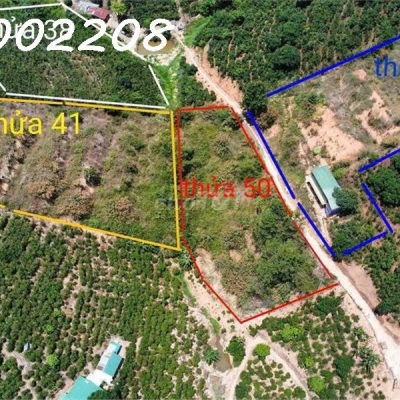 Chính chủ bán nhanh 5518m2 đất tại Xuân Trường, Đà Lạt, giá 4.5 tỷ