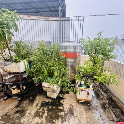 BÁN NHÀ MẶT TIỀN ĐƯỜNG SỐ  – P. TAM PHÚ, TP. THỦ ĐỨC – GIÁ CHỈ 5 TỶ