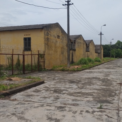 Bán 2ha đất KCN Đồng Văn, Duy Tiên, Hà Nam. Lô 2 mặt đường