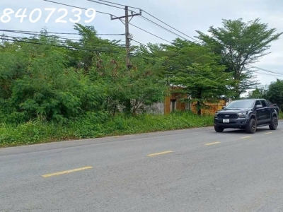 CẦN BÁN LÔ ĐẤT Mặt tiền đường Hồ Văn Tắng, Xã Tân thạnh Đông, củ Chi, HCM