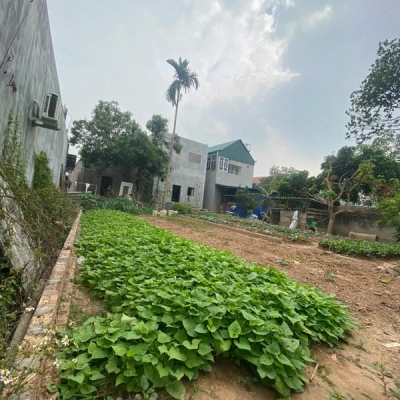 80M ĐẤT HIỀN NINH, SÓC SƠN. FULL THỔ CƯ. ĐƯỜNG THÔNG RỘNG 4M. NGAY SÁT ĐƯỜNG BỜ KÊNH ĐI VÕ NGUYÊN GIÁP KÉO DÀI. KHÔNG LỖI LẦM. CHỈ 2.16 TỶ