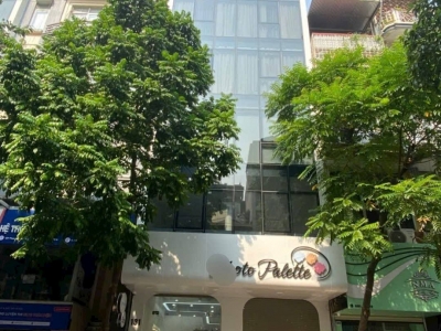 Siêu phẩm hiếm, bán nhà mặt phố Đào Tấn, 7 tầng thang máy, kinh doanh đỉnh, chỉ 34 tỷ