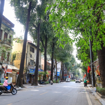 23.02.23.3. Bán nhà mặt phố quận Hai Bà Trưng cũ, giá chỉ 125 triệu/m2, diện tích 117,2m2