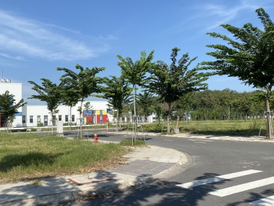 Đất nền Bến Cát giá rẻ – Đường nhựa 13m, dân cư hiện hữu