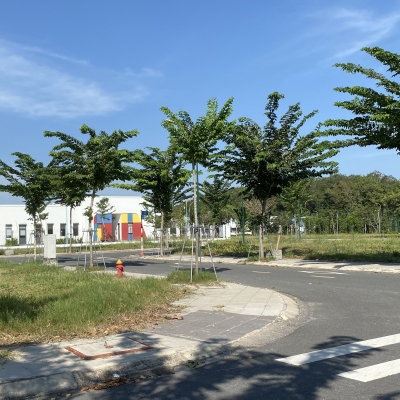 Đất nền Bến Cát giá rẻ – Đường nhựa 13m, dân cư hiện hữu