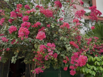 Giảm 2.5 tỷ! Nhà Vuông SHR 4 tầng Đ.8m 98m2 – Bình Lợi Bình Thạnh S