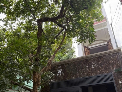 Nhà hẻm 306/4 Thống Nhất, Phường 16, Gò Vấp, Hẻm 3,5m, 4,35x17,5m, Cn 61 m2, trệt 3 lầu, ST, 8PN, 8WC, Nội thất, Thu nhập 25tr/tháng, Đã Full phòng, 4,97 tỷ Chốt