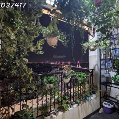 Bán một trong những căn hộ đẹp nhất Sunshine Riverside, thiết kế tâm huyết - MIỄN TG