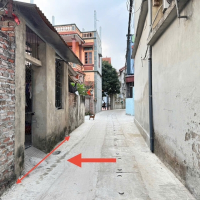 Cơ Hội Đầu Tư Hoặc An Cư Lý Tưởng Tại Tiền Phong, Mê Linh (60m², Full Thổ Cư)