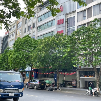 Cực hiếm, bán nhà mặt phố vip Ba Đình, vỉa hè rộng, 80m, mặt tiền 5m, kinh doanh đắc địa, chỉ 34.7 tỷ