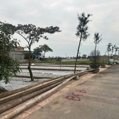 ???? Đầu tư vào lô đất ven biển- Cơ hội sống độc đáo! ????
