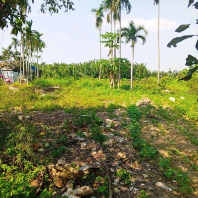 Chủ kẹt tiền cần bán lô đất tại MT đường DX 017 có 1000 m² đất ở., Cẩm Thanh giá 18 tỷ