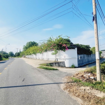 Bán 60m x 33m đất ODT Đường Nguyễn Trãi - Bình Tân - LaGi giá đầu tư