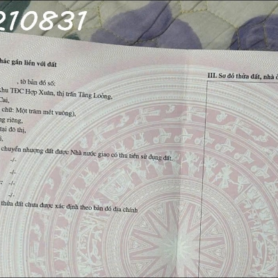 Bán đất tại Thị trấn Tằng Loỏng, Huyện Bảo Thắng, Lào Cai, DT 100m2, giá đầu tư