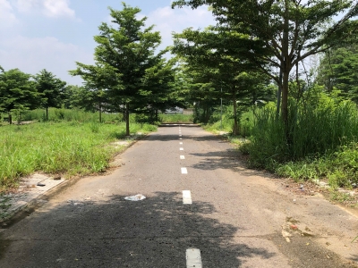 Gần chợ Sông Trầu, em có 1 lô đất 118m2, giá tốt