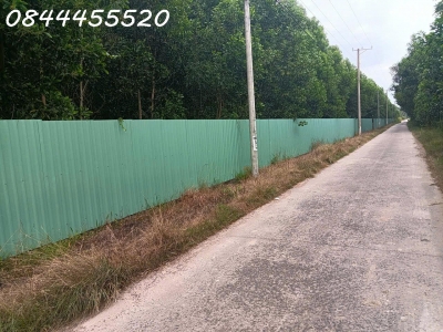 BÁN ĐẤT VƯỜN TẠI XÃ XUÂN THÀNH, XUÂN LỘC, ĐỒNG NAI