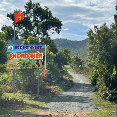 CHÍNH CHỦ BÁN VƯỜN CLN 17,7 Ha tại xã Phú Lạc, Bình Thuận (cũ)