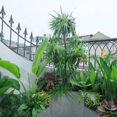 NHÀ LÔ GÓC – NGÕ Ô TÔ TẢI – CÁCH PHỐ HOÀNG HOA THÁM HƠN 20M
Căn nhà hiếm trong khu Ba Đình, vị trí cực đẹp – ở sướng, đi lại thuận tiện, có thể kinh doanh