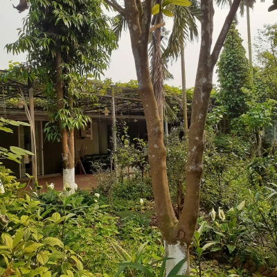 Cho thuê đất kèm nhà xưởng, 200m2, 300m2, 500m2, An Dương, Yên Phụ, Tây  Hồ.