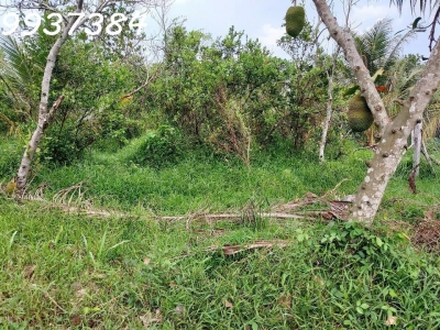 Chính chủ cần bán đất vườn tại xã Long Hưng, Châu Thành, DT 500m2, giá đầu tư