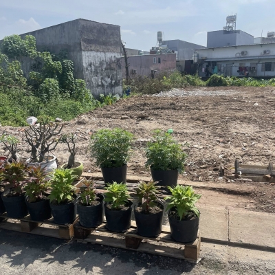 Bán đất mặt tiền đường nhựa 12m ngang 5x18m giá 5 tỷ Đường Đông Thạnh 7-3