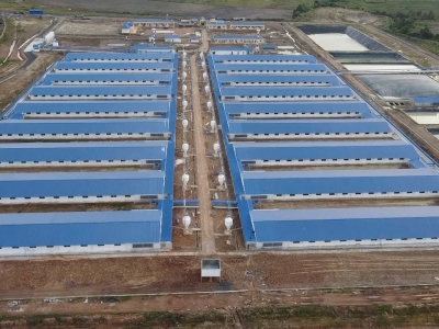 Bán Trang trại heo 26 Ha -Chư Prông, Gia Lai. Quy mô 18.000 heo thịt, Đang cho thuê 1.1 tỷ/tháng