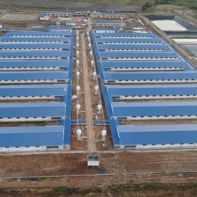 Bán Trang trại heo 26 Ha -Chư Prông, Gia Lai. Quy mô 18.000 heo thịt, Đang cho thuê 1.1 tỷ/tháng