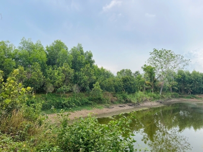 Chính Chủ Bán 20.000m2 Đất Tại Xã Bàu Lâm, Xuyên Mộc - Bà Rịa Vũng Tàu