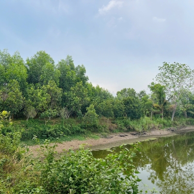 Chính Chủ Bán 20.000m2 Đất Tại Xã Bàu Lâm, Xuyên Mộc - Bà Rịa Vũng Tàu