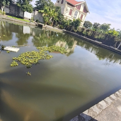 Bán Biệt Thự 3 Tầng 2000 M sân Vườn Đồ Sơn Hải Phòng