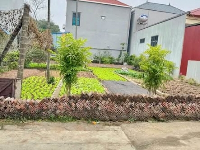 MUỐN BÁN GẤP 51.5M ĐẤT TÍCH GIANG _ PHÚC THỌ _ HÀ NỘI