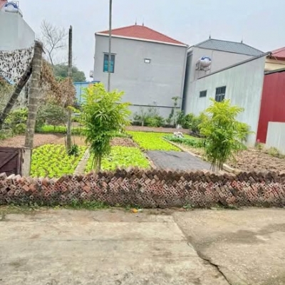 MUỐN BÁN GẤP 51.5M ĐẤT TÍCH GIANG _ PHÚC THỌ _ HÀ NỘI