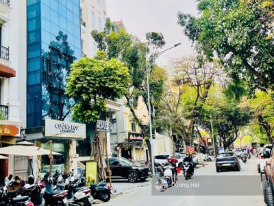 Bán nhà mặt phố Nguyễn Khang - 95m * 8Tầng Thang Máy Vỉa hè View Sông Tô Lịch Thơ Mộng KDVP