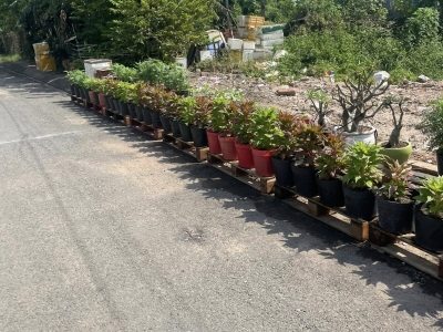 Bán đất mặt tiền đường nhựa 12m ngang 5x19m giá 5 tỷ Đường Đông Thanh 7-3